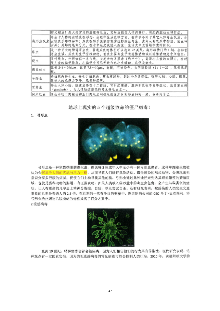 资质资料第49页
