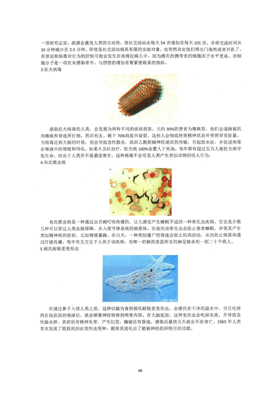 资质资料第50页