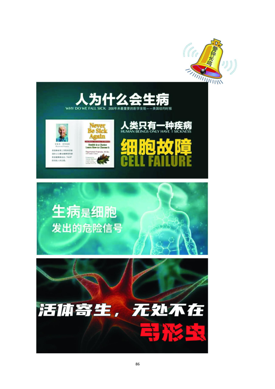 资质资料第88页